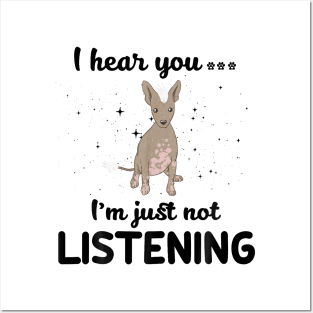 Xoloitzcuintli I hear you Iam just not listening Posters and Art